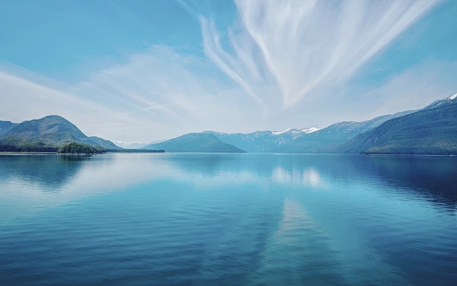 Professional Astrology Reading