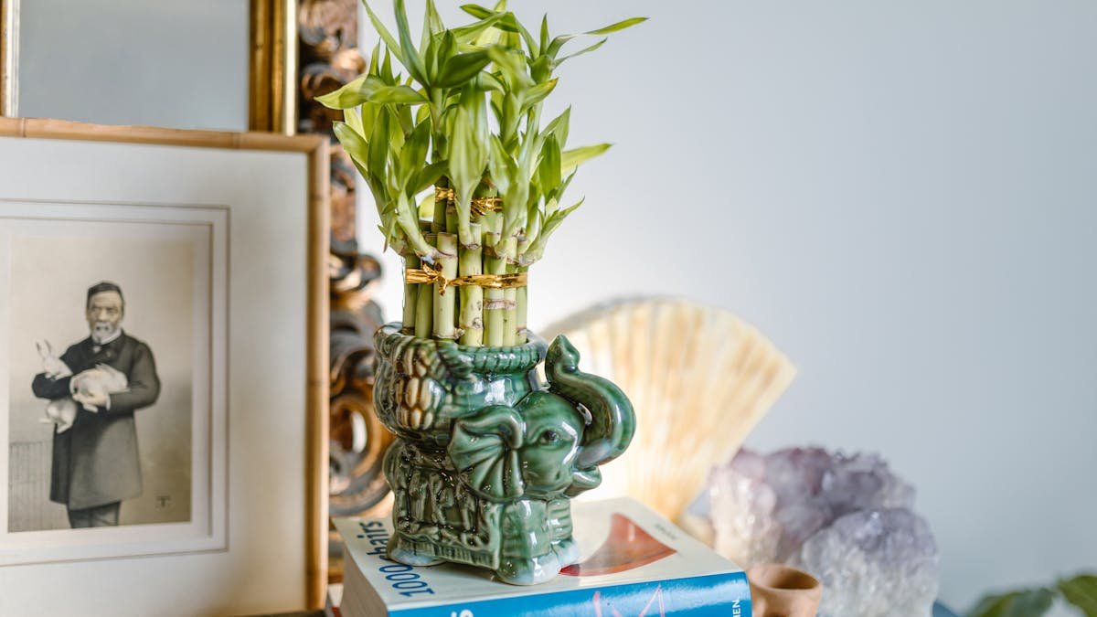 feng shui products - professional feng shui guide with spatial analysis and practical recommendations