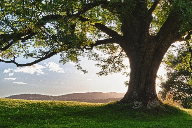 Why a True Fortune Reading Matters When Your Life Feels Ready to Shift