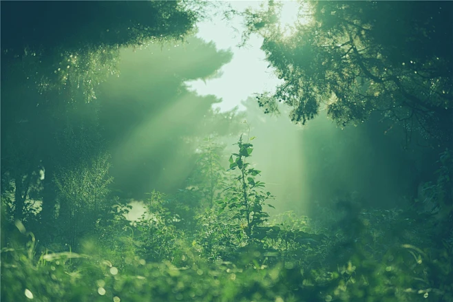 Feeling Like Your Life Is “Off” Lately? A Life Reading Astrology Session Shows Where You’re Truly Meant to Go